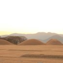 대릉원 Daum카페