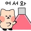 숙이네수산 네이버블로그
