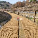길식농장 네이버블로그