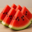 리트부국님 음악 신청합니다 이미지