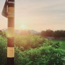 THE 파란 이미지