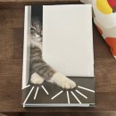 삼청테니스장 테니스장 | [25-6月] 나의 모든 순간들이 다 완벽할 순 없지만