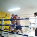 태산체육관 이미지