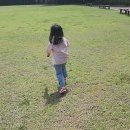 판암근린공원 이미지