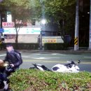 아모르호텔 이미지