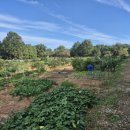 쇠골목장 이미지