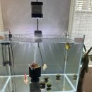 신정네거리역 이미지