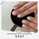 애견매니저 | 의정부 왓츄컬러 애견 동반 네일샵, 겨울 젤 네일 후기