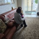 성주동행정복지센터(성산구 공단로 735) 앞 | |오늘의 뉴스| |석주연 기자| 창원특례시 성산구 [2026년 3월 24일 화요일]