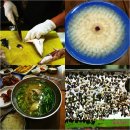 오동동053 이미지