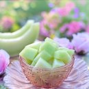 멜론 - 거제시 아주1로 34 | 멜론