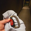 신세계수영장 | 대전 신세계 오노마 호텔 수영장 다녀온 후기