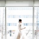 메리디어 네이버블로그