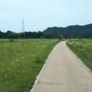 반변천교(송천동) Daum카페
