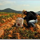 석호농장 이미지