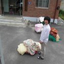 행제2리 이미지