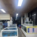 [맛집] 해마루 수산 a세트 후기, 회 + 새우구이🦐 +탕