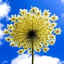 비우고 채우고 이미지