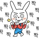 가람애견미용샵 이미지