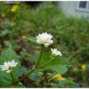 상천2리 마을회관 이미지