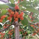 혜원농장 이미지