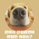 백암동물병원 이미지