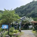 수채화B | 양양 가성비 좋은 펜션추천 ‘초록 수채화 펜션’ 돌아기랑 방문 후기