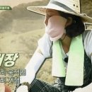 어제자 삼시세끼 염정아 요약.jpg 이미지