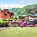 큰바위 펜션 이미지