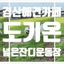 대중도기 이미지