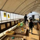 찬우물농장 이미지