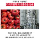 이든농장 | [미리보기] 내일 드디어 올리브샷! 올레샷, 올토샷 보여드려요!