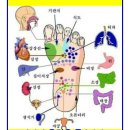 손과 발 지압 혈자리 이미지