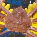 박달수산 이미지