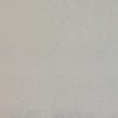 비둘기모사 이미지