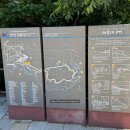 정문디자인시스템 | 부산 태종대 여름 여행 추천｜다누비 열차 타고 태종사까지 둘러본 후기 (+수국축제)