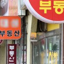 수정공인중개사사무소 네이버블로그