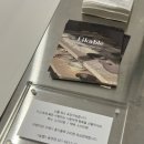 중앙동144 | 대전 라이커블, 성심당 근처 리빙소품샵 추천 중앙동 집들이 선물로 딱