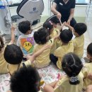 알프스유치원 이미지