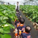 인성농장 이미지