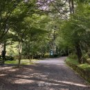 봉암수퍼 이미지