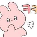 프룻퐁당 이미지