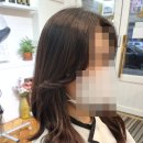 동가리헤어