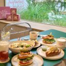 래빗가든 이미지