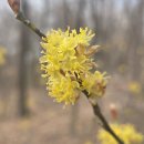 화산공원 이미지