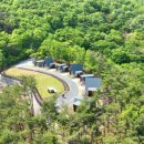 숲속트리하우스 이미지