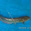 노지하우스 이미지