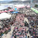 붉은대게 이미지