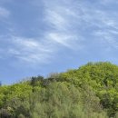 가평샤이니남이섬수영장스파펜션 | [남이섬펜션] 가평 오블리비아테 수영장 펜션 카라반, 가평스파펜션 :)