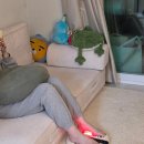 나의 근육 사용설명서 | 근육뭉침 부종 하체관리 바디앤 트위핏 발마사지기 사용 후기